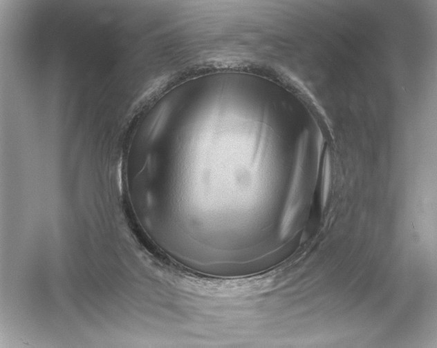 X0000056020019200509092151