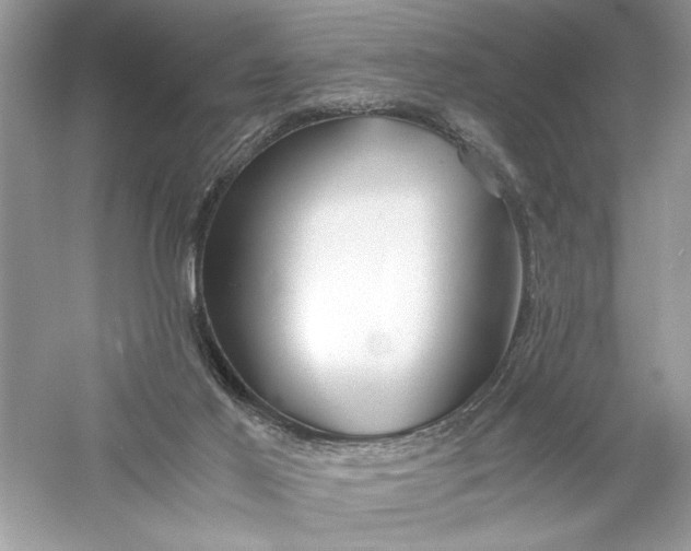 X0000056020021200509092151
