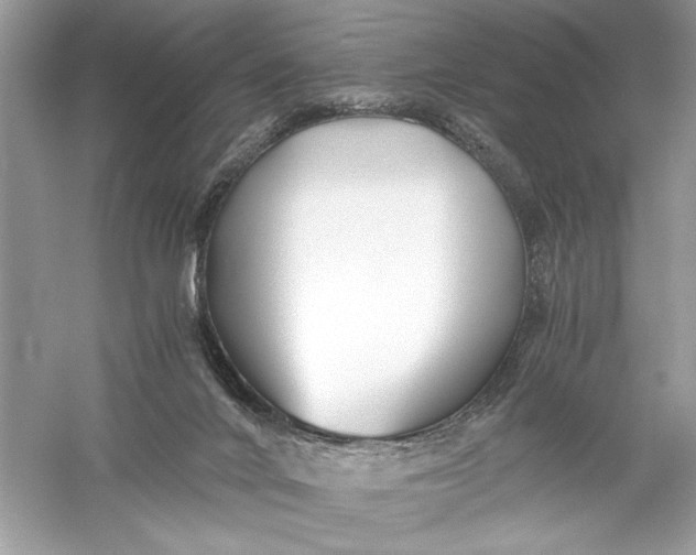 X0000056020024200509092151