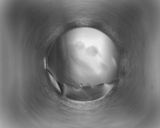 X0000056020027200509092151