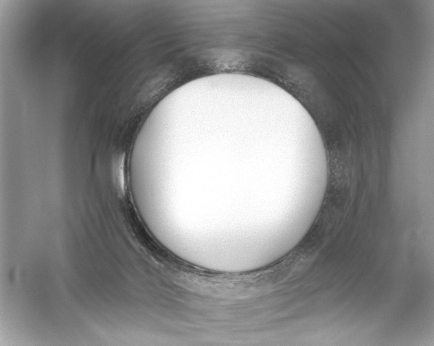 X0000056020028200509092151