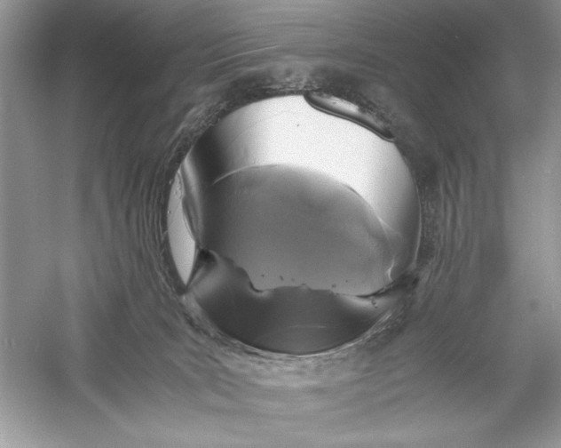 X0000056020035200509092150