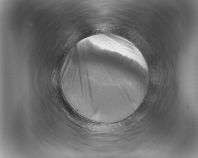 X0000056020036200509092150
