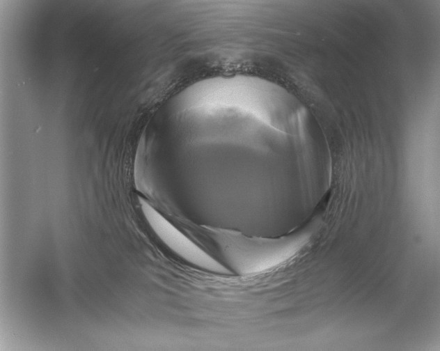 X0000056020039200509092150