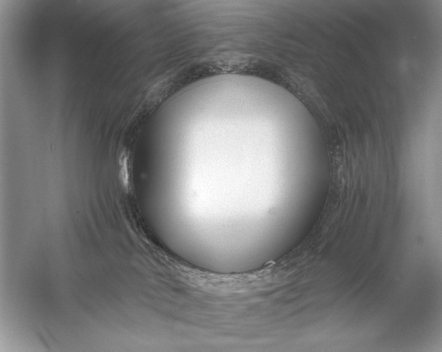 X0000056020042200509092150