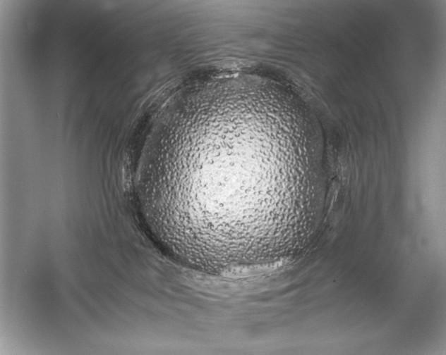 X0000056020043200509092150