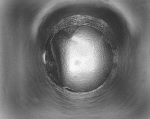 X0000056020047200509092150