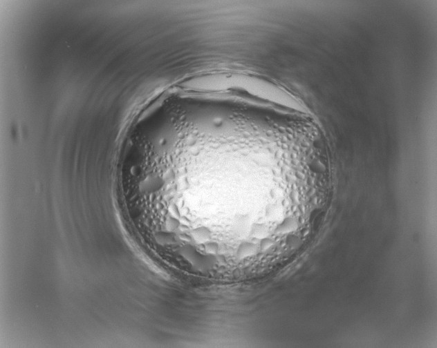 X0000056020049200509092149