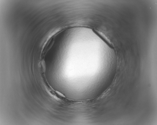 X0000056020050200509092149