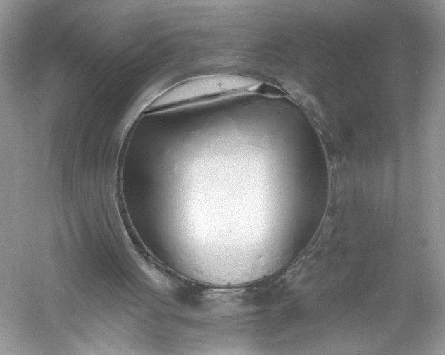 X0000056020051200509092149