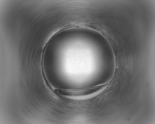X0000056020052200509092149