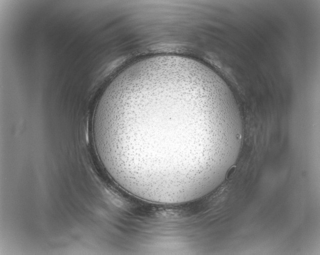 X0000056020062200509092150