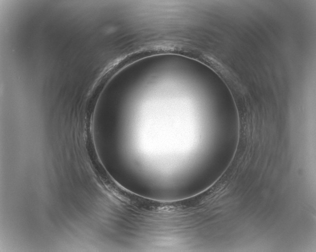 X0000056020064200509092150
