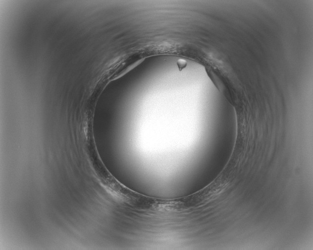 X0000056020072200509092150