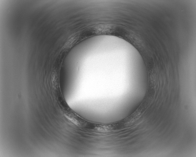 X0000056020079200509092150