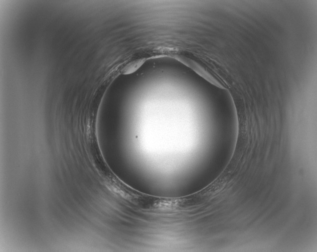 X0000056020084200509092150