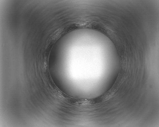 X0000056020085200509092150