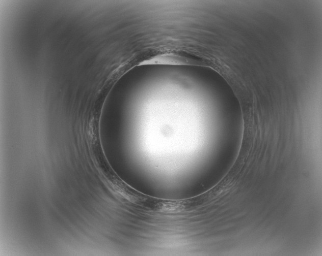 X0000056020088200509092150