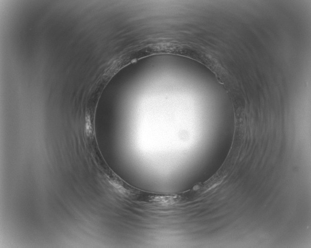 X0000056020089200509092150