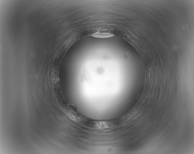 X0000056020091200509092150
