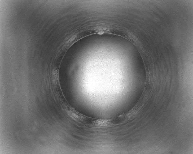 X0000056020093200509092150