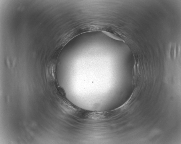 X0000056020094200509092150