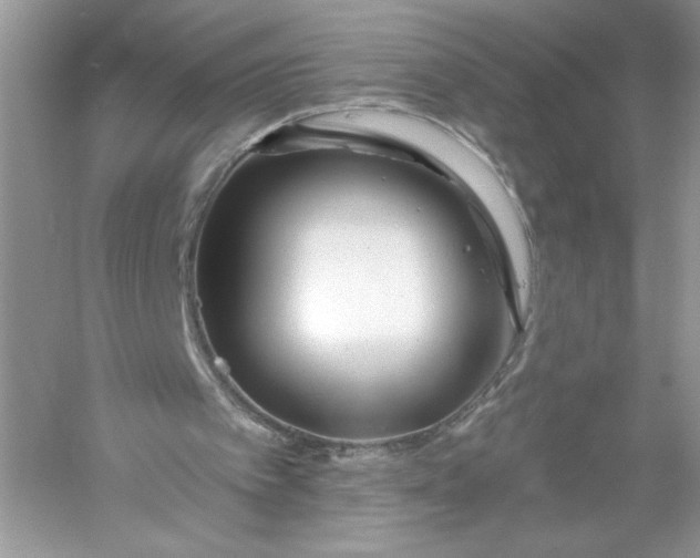 X0000056020097200509092149