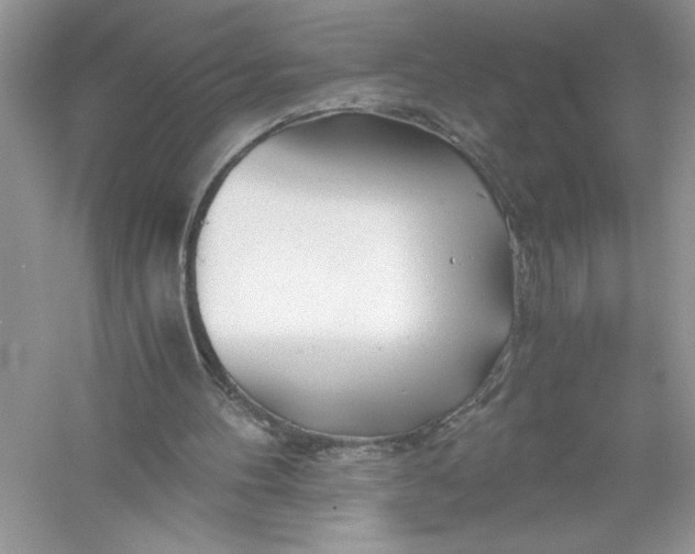 X0000056020100200509092149