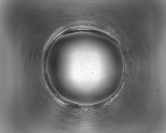 X0000056020101200509092149