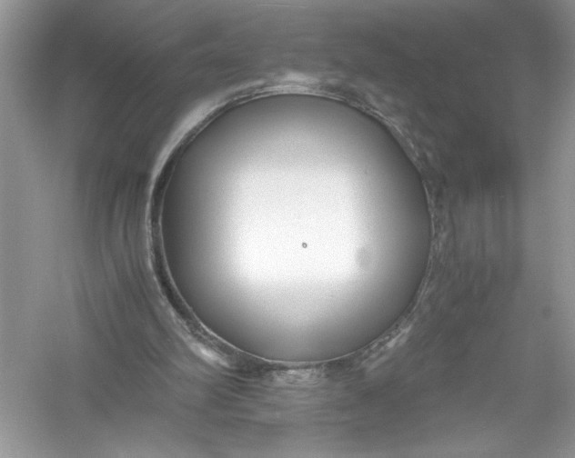 X0000056020102200509092149