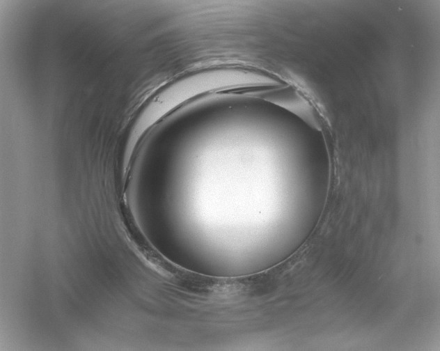 X0000056020105200509092149