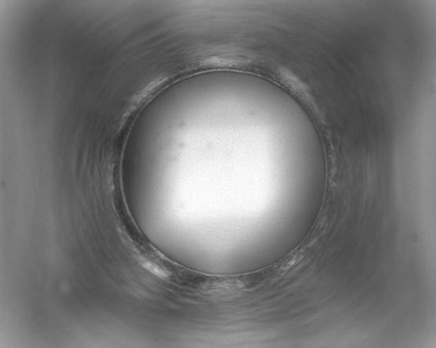 X0000056020106200509092149