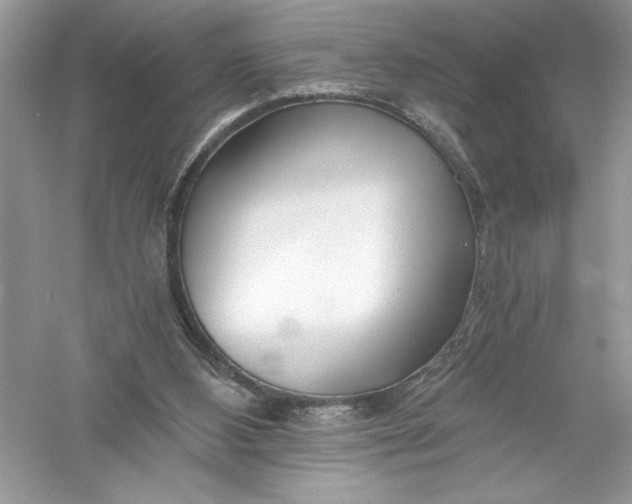 X0000056020108200509092149
