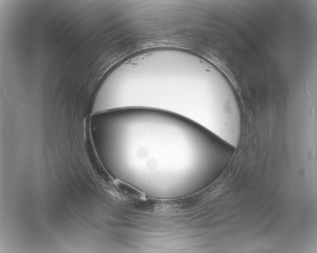 X0000056020109200509092149