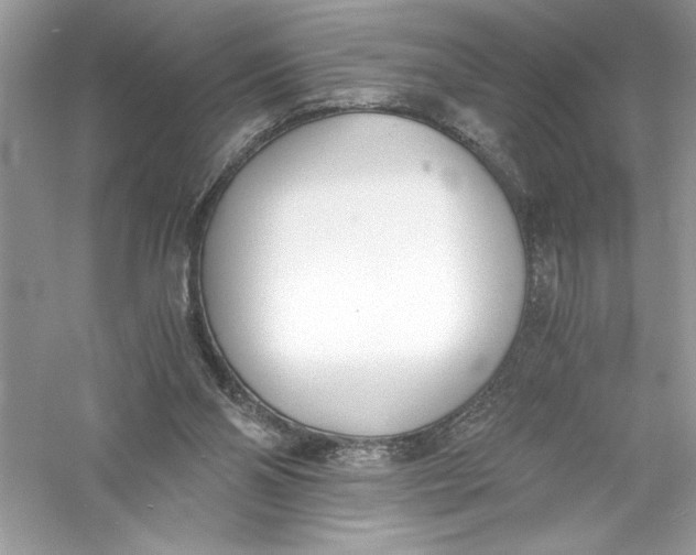 X0000056020110200509092149