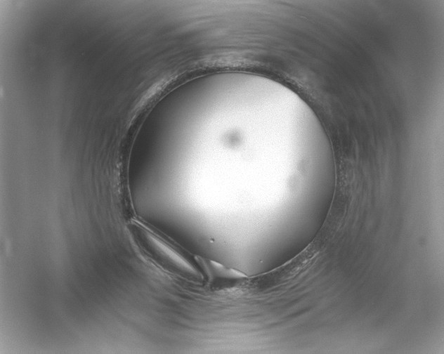 X0000056020111200509092149