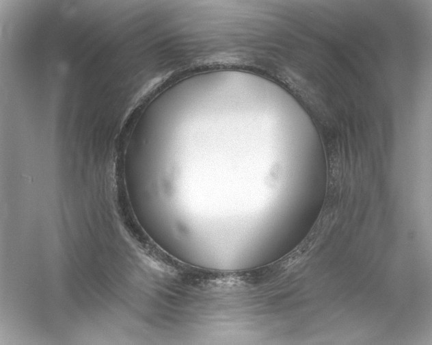X0000056020112200509092149