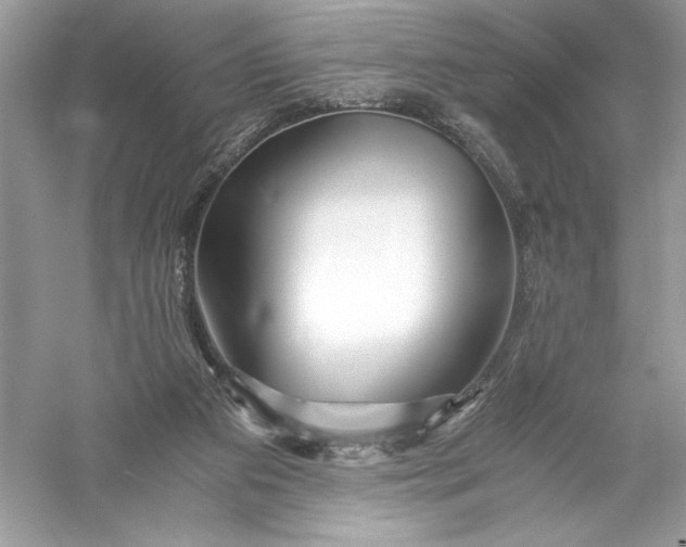 X0000056020113200509092149