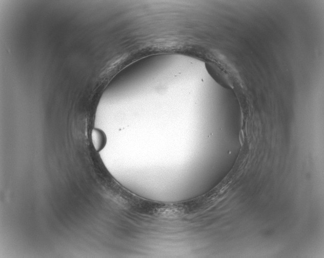X0000056020115200509092149