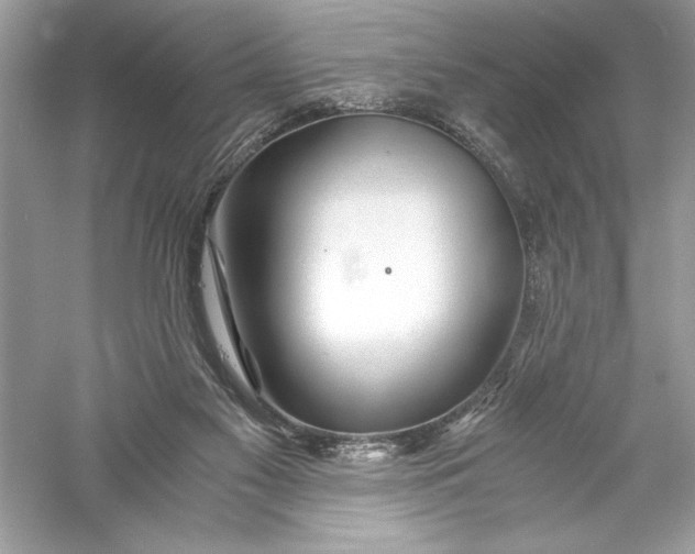 X0000056020117200509092149