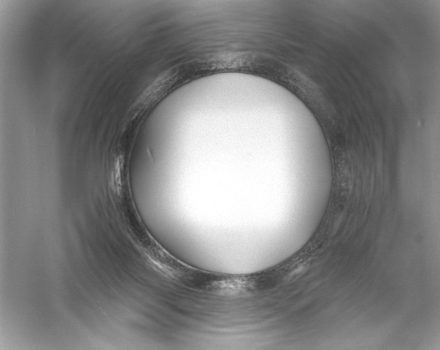 X0000056020118200509092149
