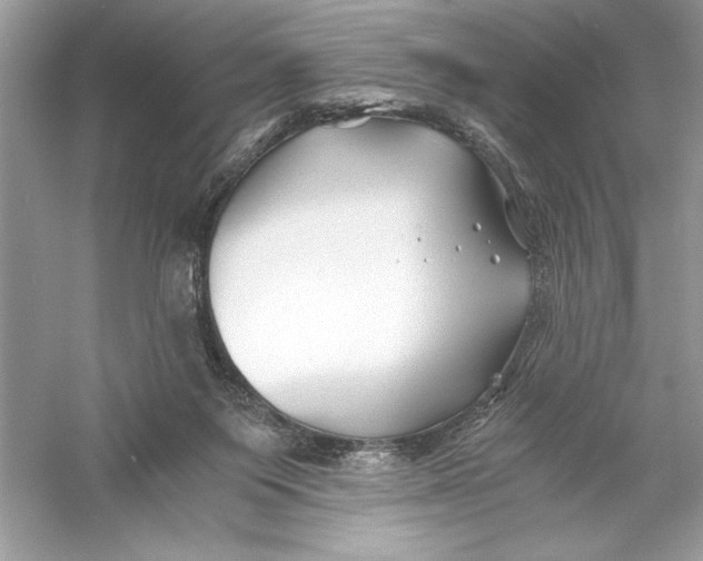 X0000056020119200509092149