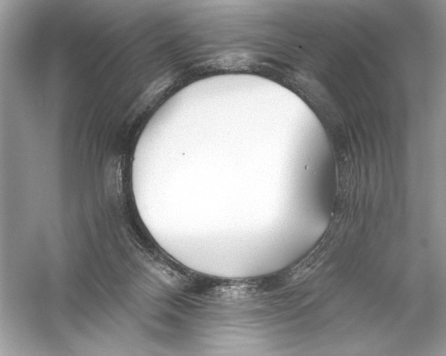 X0000056020120200509092149