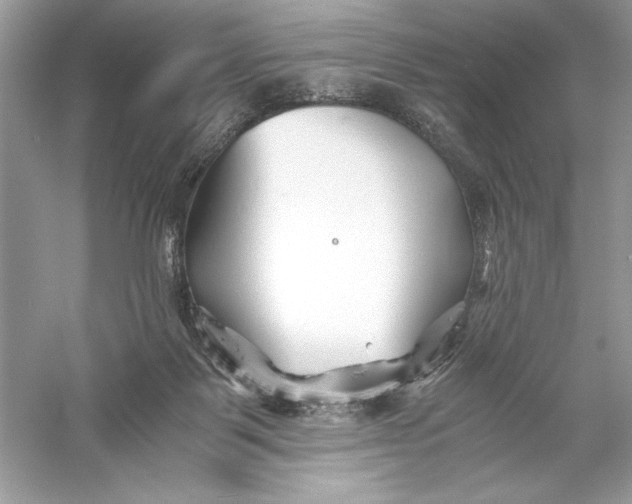 X0000056020123200509092149