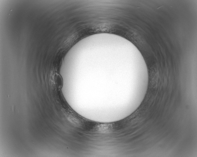 X0000056020126200509092149