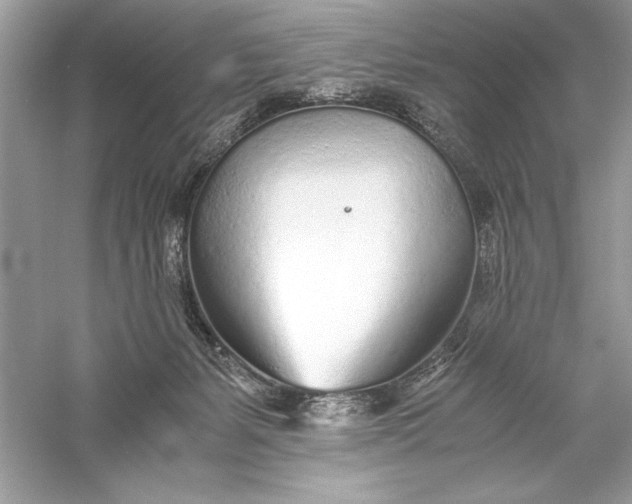 X0000056020127200509092149