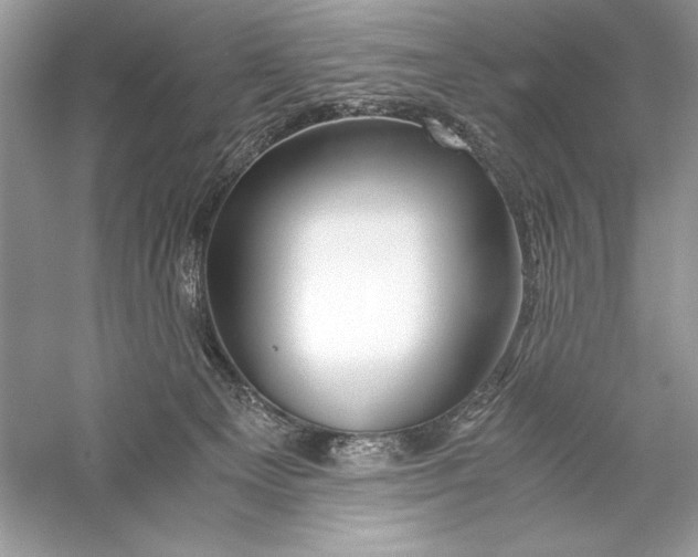 X0000056020129200509092149