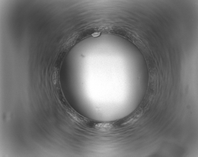 X0000056020133200509092149