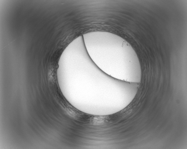 X0000056020134200509092149
