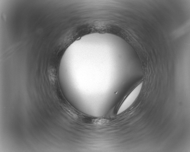 X0000056020135200509092149